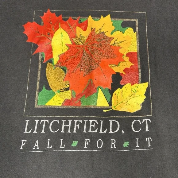 Vintage Litchfield Connecticut T‎ Shirt Size Xl Fall For It - Picture 4 of 9